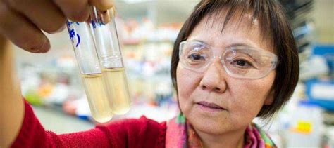 NREL's Min Zhang keeps her 'hugs' happy, leading to biofuel breakthroughs