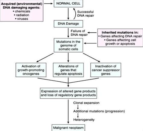 -Molecular basis of cancer [12] | Download Scientific Diagram