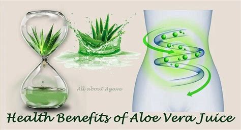 Top 15 Best Aloe Vera Juice Reviews