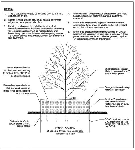 Tree Canopy Size Chart Keski