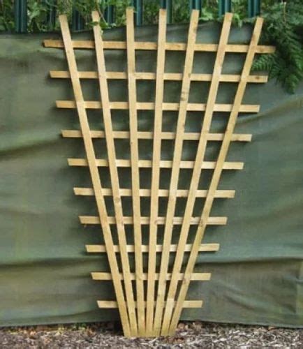 Wooden Trellis - Wooden Trellis For Climbing Plants Latest Price ...