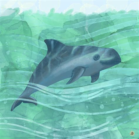 Vaquita Porpoise Swimming In Emerald Waters Digital Art By Andreea Dumez