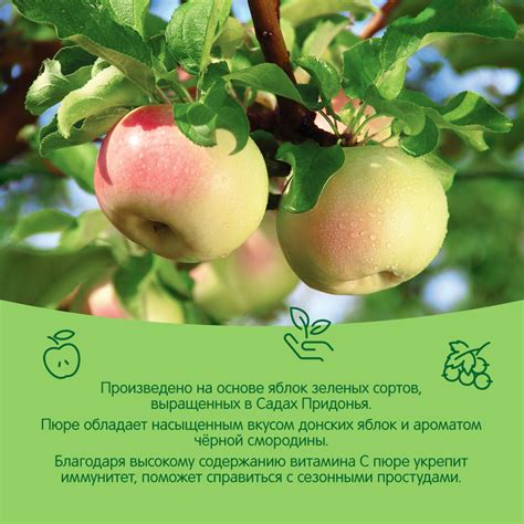 Пюре Сады Придонья яблоко-смородина 120г с 5месяцев купить по цене 41.7 ...