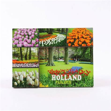 Typisch Hollands Magnet Keukenhof Tulpen Typisch Hollands