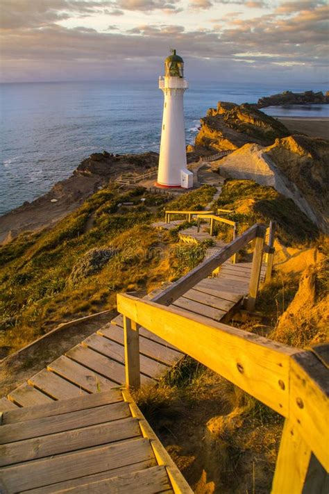 Castle Point Lighthouse In Sunrise New Zealand Stock Photo Image Of