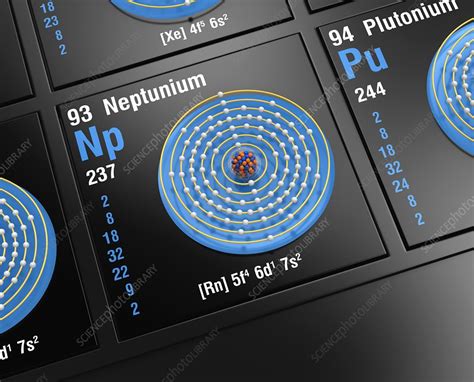 Neptunium, atomic structure - Stock Image - C045/6441 - Science Photo ...