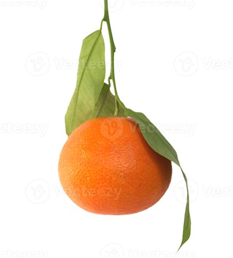 Mandarijn Fruit Transparante Png Png