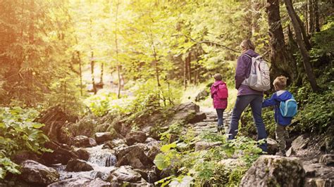 5 planes con niños para hacer turismo rural en familia O Balcón da