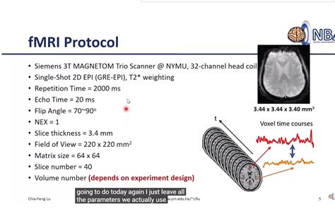 Youtube Fmri Resting State Fmri Analysis