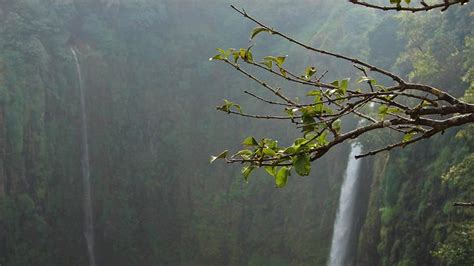 Weekend Getaways From Mumbai During Monsoon 2022: From Lonavala to Thoseghar Waterfalls, Perfect ...