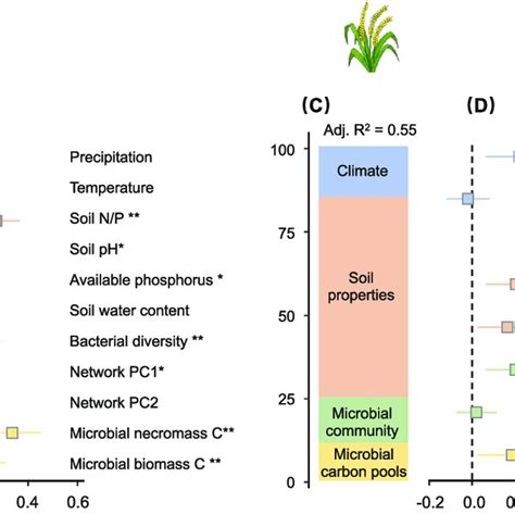 Pdf Integrating Microbial Community Properties Biomass And Necromass