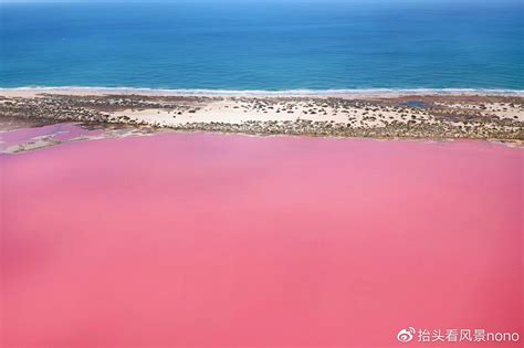 赞爆朋友圈的粉红湖水，也是世界上独一无二的奇观美景