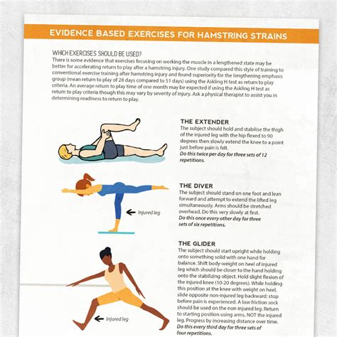 Evidence Based Exercises For Hamstring Strains Adult And Pediatric