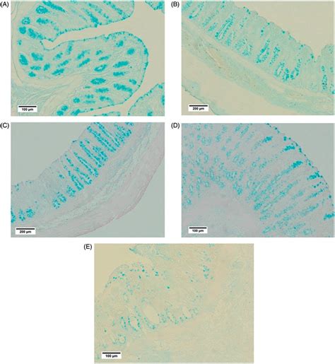 Photomicrographs Of Colonic Sections Of Different Treatment Groups Download Scientific Diagram