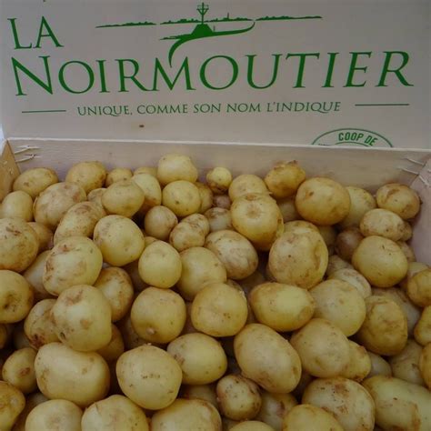 Discover The Luxurious La Bonnotte Potato From Lile De Noirmoutier