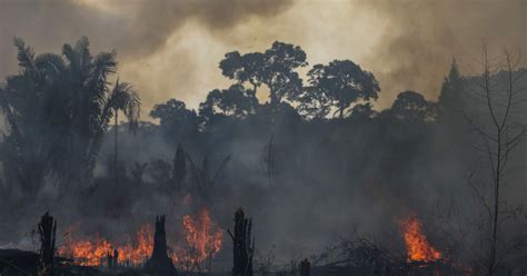 Peste 3000 de incendii în cea mai mare pădure tropicală a planetei