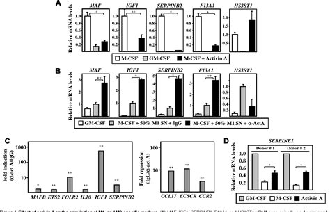 Figure 1 From Activin A Skews Macrophage Polarization By Promoting A