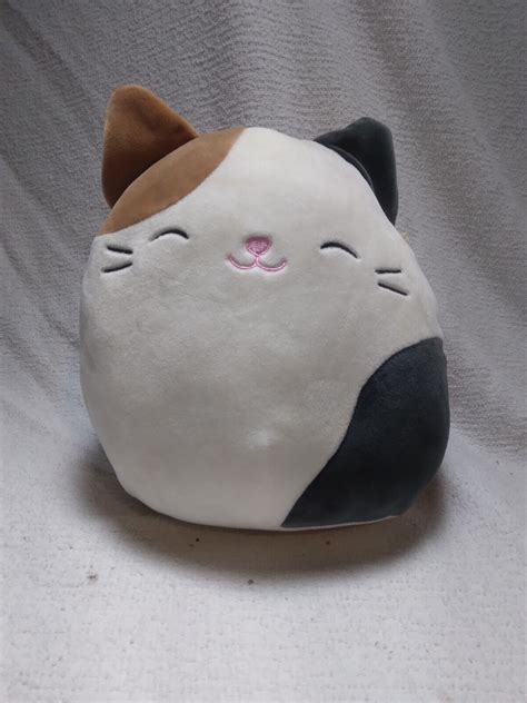 Squishmallows Cam The Cat Plush 10 4641748932