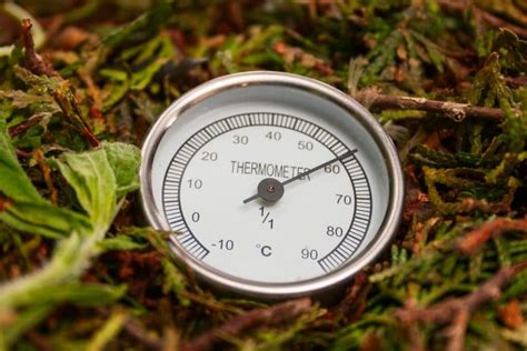 5 Best UK Compost Thermometers Reviewed UpGardener