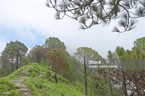 Beautiful Hill Station Of Uttarakhand India Stock Photo - Download ...