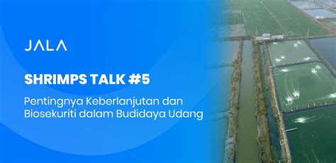 Shrimps Talk Membahas Pentingnya Keberlanjutan Dan Biosekuriti Dalam