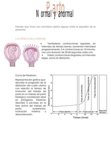 Parto Normal Y Anormal Katy Gonz Lez Udocz