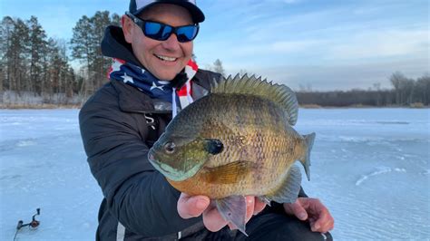 Ice Fishing Minnesota For Trophy Bluegills In Depth Outdoors Tv S