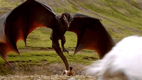 Game Of Thrones Dragons Season 4 Gif