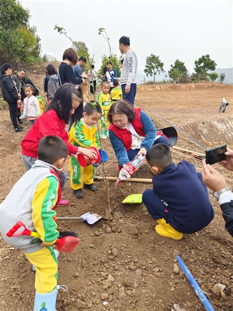 浈江区风采幼儿园开展亲子植树活动 韶关发布