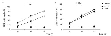 Induction Of NBT Reducing Ability Of A HL60 And B NB4 Cells The