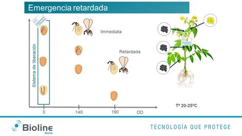 Tricholine Ta La Soluci N Biol Gica Letal Contra Los Huevos De Tuta