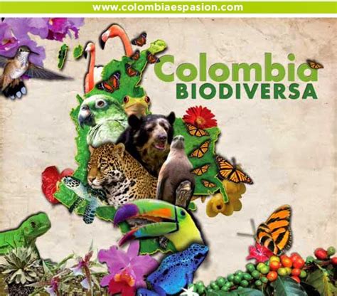 La Biodiversidad En MÉxico Y El Mundo Los Países Megadiversos