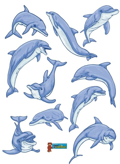 Baby Dolphin Clipart Baby Dolphin Clipart #lSa40B - Clipart Suggest