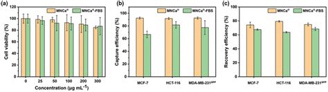 A Cck‐8 Assay Of Mcf‐7 Cells After Incubation With Mnca⊕ And Mnca⊕‐fbs Download Scientific