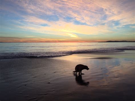 Another beautiful sunset, what a beautiful place we live !!! : r/vancouver