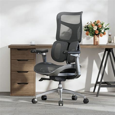 Sihoo Doro S100 Ergonomic Office Chair With Enhanced Comfort And Support