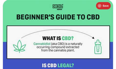 Beginner S Guide To Cbd Cupertinotimes