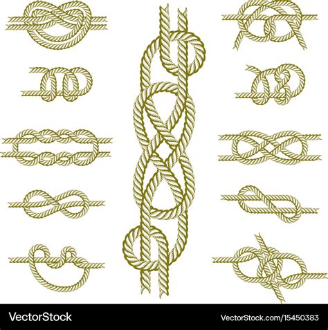 Sea boat rope knots isolated Royalty Free Vector Image