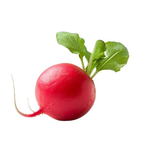 Radish Isolated On A Transparent Background 46439165 Png