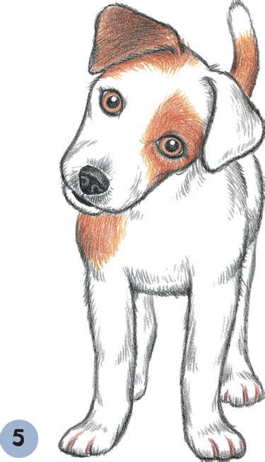 Image Result For How To Draw A Jack Russell Terrier Puppy Jack