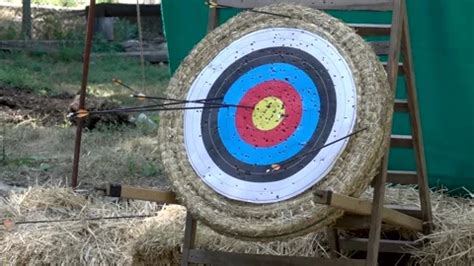 Target for archery shooting. Arrow hitti... | Stock Video | Pond5