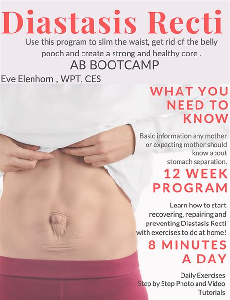 Best Exercises For Diastasis Recti Ppgbbe Intranet Biologia Ufrj Br