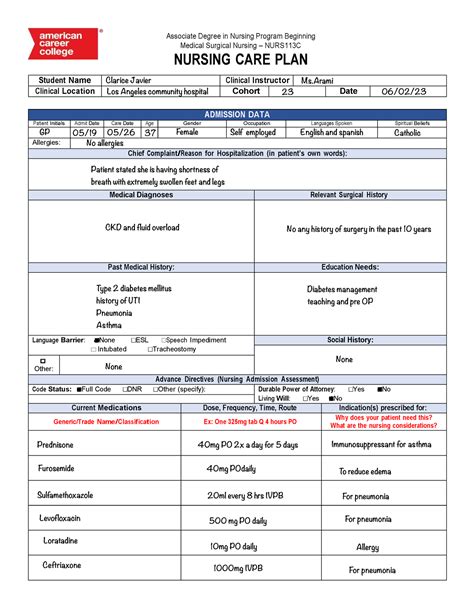 Care Plan Careplan Associate Degree In Nursing Program