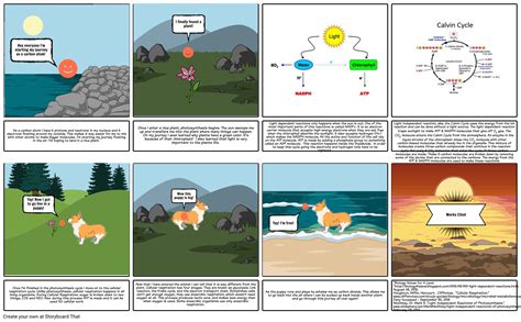 Journey Of A Carbon Atom Storyboard Af Mckenna