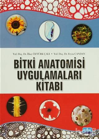 Bitki Anatomisi ve Uygulamaları Kitabı Feyza Candan İlkay Öztürk Çalı