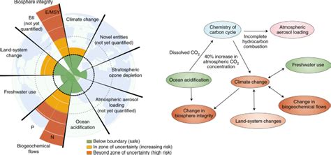 Systems Thinking For Education About The Molecular Basis Of