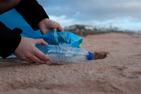 Reciclar E Preservar Este é O Caminho Para Um Futuro Melhor