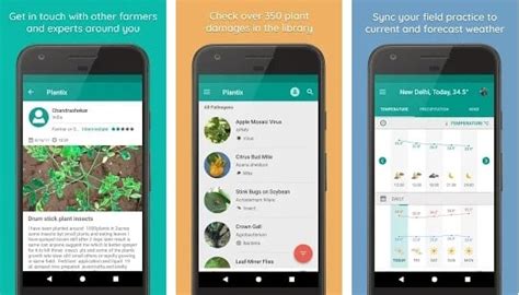 Las Mejores Aplicaciones De Identificaci N De Plantas Android