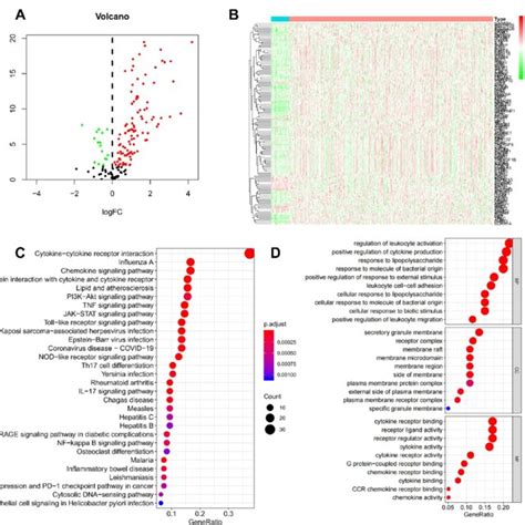 Identification Of Deirgs In Hnscc Patients And Function Enrichment