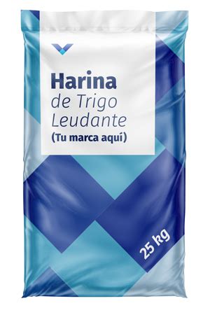 Harina De Trigo Leudante GSI FOOD